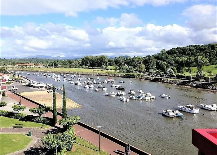 Bel Appartement Renove, Calme, Proche Centre Et Plage, Balcon, 2 Chambres, Commerces A 150M - Fr-1-4-685